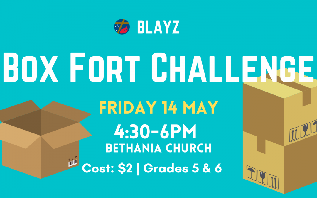 BLAYZ (yr 5 & 6) Box Fort