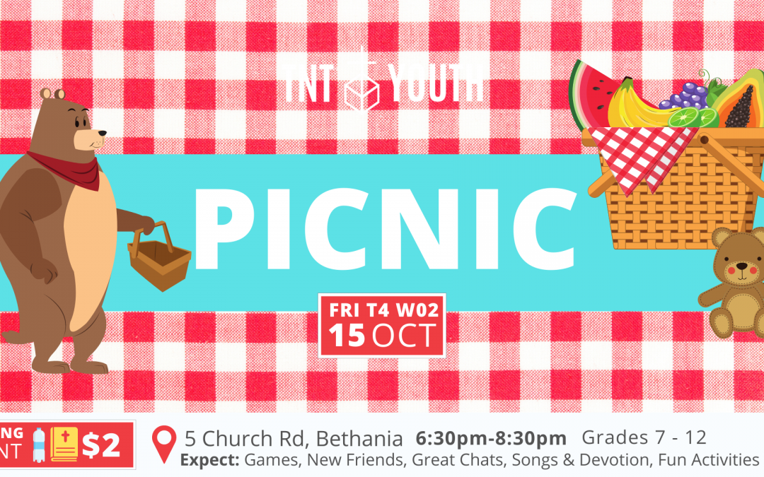 TNT Term 4 Week 02 – Picnic!